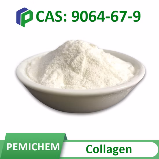 Suministro de fabricación, 99% de materias primas cosméticas puras, polvo de ácido tranexámico CAS 1197